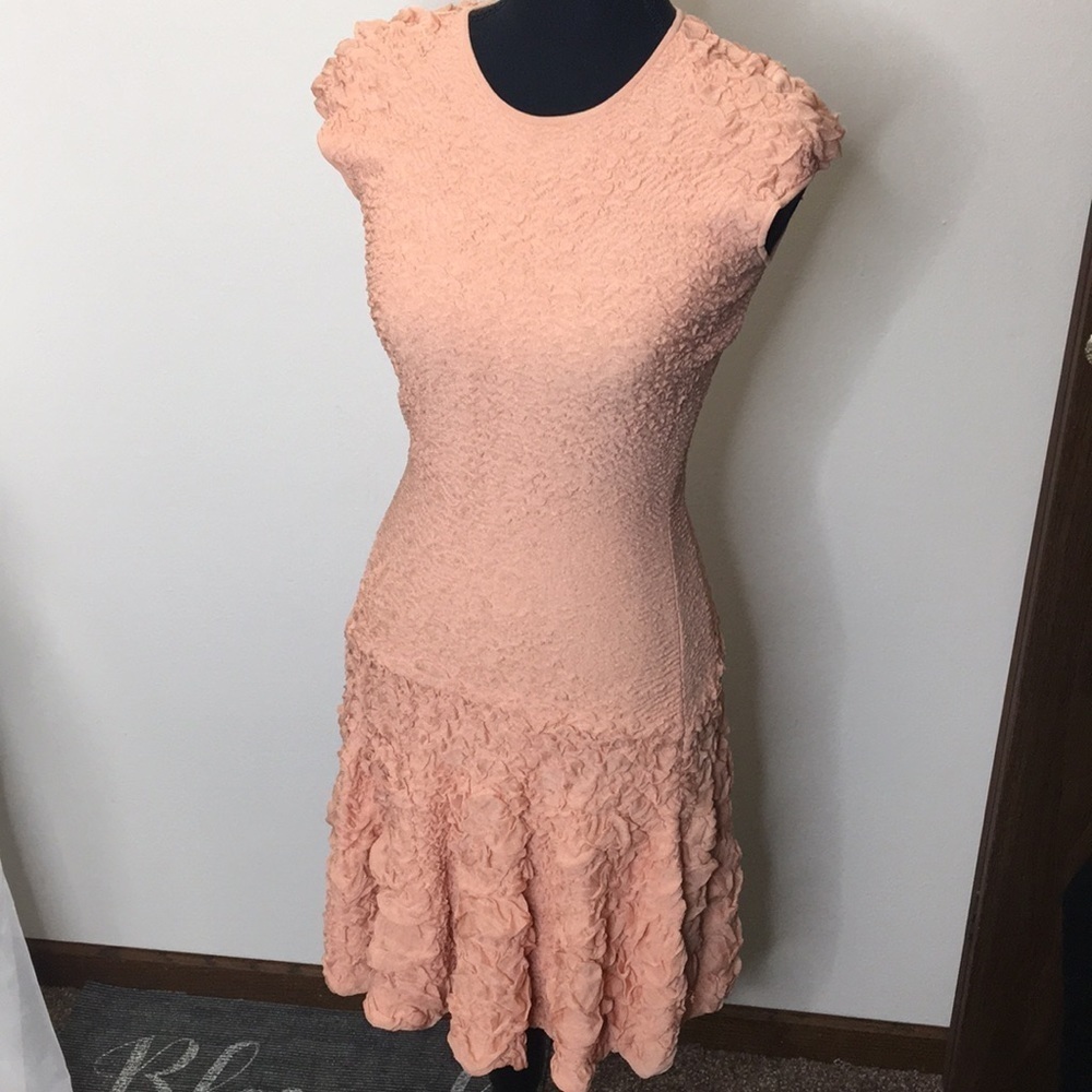 Alexander McQueen blush peach textural pucker knit flounced dress size s… - Picture 2 of 12